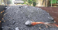 ২ ট্রাক চোরাই কয়লা জব্দ, ব্যবসায়ী কারাগারে