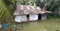 জোয়ারে নিম্নাঞ্চল প্লাবিত, পানিবন্দি বাগেরহাটের সহস্রাধিক পরিবার