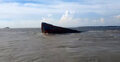 পদ্মায় বালুবাহী বাল্কহেড ডুবি