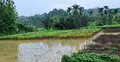 বান্দরবানে কমতে শুরু করেছে বন্যার পানি, এখনো পানিবন্দি হাজারো পরিবার
