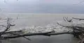 শুভসন্ধ্যা সৈকতে গোসলে নেমে পর্যটক নিখোঁজ