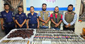 বগুড়ায় অভিযান চালিয়ে ৮১০ বার্মিজ চাকু উদ্ধার