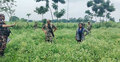 লালমনিরহাট সীমান্তে পুশইনের চেষ্টা ব্যর্থ