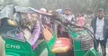 3 killed in Bhola as truck, auto-rickshaw collide