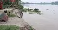 প্রকল্প বাড়লেও ভাঙন কমেনি যমুনায়