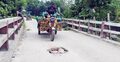সেতু যেন মরণফাঁদ, যেকোনো মুহূর্তে ধসের শঙ্কা