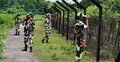 বাংলাদেশ সীমান্তে সাপ-কুমির ছাড়ার খবর ভিত্তিহীন