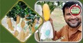 ফ্রুটব্যাগিং শিল্পের কাঁচামাল আমদানিতে শুল্ক কমলো