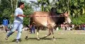 ধুলো ওড়ানো সেই দুপুরের স্মৃতি আজ এক চিলতে দীর্ঘশ্বাস