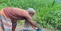 চুয়াডাঙ্গায় রেললাইনের পাশে মিলল ক্ষতবিক্ষত নারীর মরদেহ