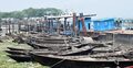 চাঁদপুরে জব্দ ২৯ নৌকা নিলামে বিক্রি