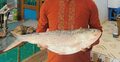 এক ইলিশের দাম ১৩ হাজার!