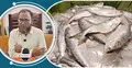 ইলিশ উৎপাদন বেড়েছে, তবে বড় চ্যালেঞ্জ টেকসই ব্যবস্থাপনা