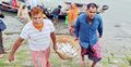 নিষেধাজ্ঞা শেষে ইলিশ শিকারে জেলেরা, ফিরেছে কর্মচাঞ্চল্য