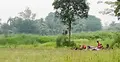 চাঁপাইনবাবগঞ্জ সীমান্তে ২০ জনকে পুশ-ইনের চেষ্টা, থামিয়ে দিলো বিজিবি