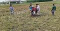 চাঁপাইনবাবগঞ্জে জমি নিয়ে দু’পক্ষের সংঘর্ষ