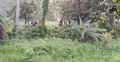 সীমান্তে ২৮ জনকে পুশইন করলো বিএসএফ