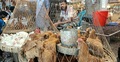 Chicken prices surge up to Tk 100 per kg ahead of Eid