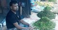 দিনাজপুরে কাঁচামরিচ বিক্রি হচ্ছে গ্রাম হিসেবে
