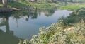 খরস্রোতা মাথাভাঙ্গা এখন সরু খাল