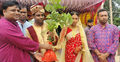 পরিবেশ দিবসে গাছের চারা উপহার পেলেন নবদম্পতি