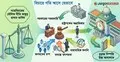 দ্রুত বিচারের নজির গড়া আলোচিত যত মামলা