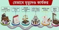 আলোচিত ধর্ষণ ও হত্যা মামলার মৃত্যুদণ্ড কার্যকর হবে কতদিনে?