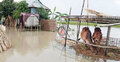 এখনো পানিবন্দি হাজারো মানুষ, বাড়ছে খাদ্য সংকট-রোগবালাই