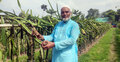 ড্রাগন চাষে সফল খোরশেদ আলম