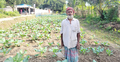 সোনারগাঁয়ে ফুলকপি চাষে স্বাবলম্বী আসাদুল্লাহ