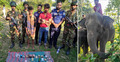 হাতি রাখার জায়গা না পেয়ে চাঁদাবাজ দুই মাহুতকে ছেড়ে দিলো পুলিশ