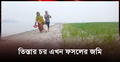 তিস্তার জেগে ওঠা চরে ফসলের হাতছানি