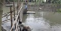খালে আড়াআড়ি বাঁধ দিয়ে মাছ শিকার, যুবকের এক বছরের কারাদণ্ড