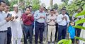 বাগেরহাটে জুলাই শহীদদের স্মরণে বৃক্ষরোপণ কর্মসূচি