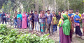 নারীর অর্ধগলিত মরদেহ উদ্ধার