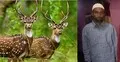 পাহাড়ে হরিণ শিকারে গিয়ে নিজেই গুলিবিদ্ধ হলেন কৃষক