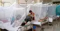 111 dengue patients hospitalised in 24 hours