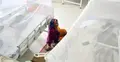 ডেঙ্গুতে মৃত্যু ৪০ জনে পৌঁছালো, হাসপাতালে নতুন ভর্তি ৪৩৯