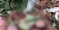 ব্রাহ্মণবাড়িয়ায় ডাস্টবিনে কাপড়ে মোড়ানো ছিল নবজাতকের মরদেহ
