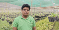 নিয়ামতের নার্সারিতে ১২ হাজার জাতের অর্কিডের সমাহার