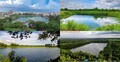 ঐতিহ্যবাহী যত প্রাচীন দিঘির জনপদ ফেনী