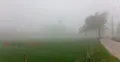 চৈত্রের সকালে কুয়াশার দেখা মিললো দিনাজপুরে