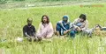 অবৈধভাবে বাংলাদেশে প্রবেশের চেষ্টা, সীমান্তে চারজনকে আটকে দিল বিজিবি