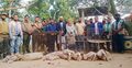 বন অধিদপ্তরের অভিযানে ৭৪ প্রাণী উদ্ধার
