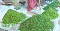 কাঁচামরিচের কেজি ২৫০ টাকা ছাড়ালো