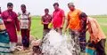 উদ্ভাবক মনিরুলের চমক: ৫ লিটার পোড়া মবিলে মিলছে ৭ লিটার ডিজেল