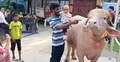 কোরবানির জন্য কেনা পশু কোরবানি না করলে গুনাহ হবে?