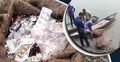 ব্রহ্মপুত্র নদ থেকে দুই বস্তা সরকারি ওষুধ উদ্ধার