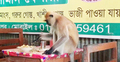 ক্ষুধা পেলেই রেস্টুরেন্টে ছুটে যায় মুখপোড়া হনুমান