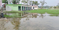 তিন মাস ধরে ডুবে আছে স্কুলমাঠ-সড়ক, পানিবন্দি ৩৫ পরিবার